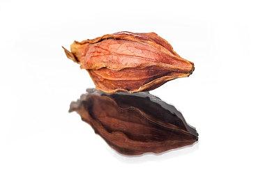 《CARNAGE OFFERING》steam发售 SF塔防好评游戏